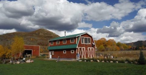 There's A Bed and Breakfast On This Llama Farm In Colorado And You Simply Have To Visit