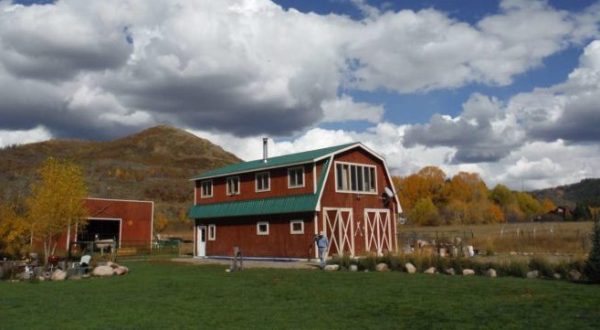 There’s A Bed and Breakfast On This Llama Farm In Colorado And You Simply Have To Visit
