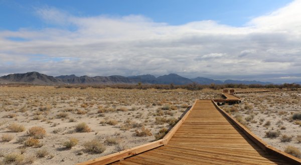 The Boardwalk Hike In Nevada That Leads To Incredibly Scenic Views