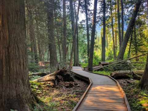 The Boardwalk Hike In Montana That Leads To Incredibly Scenic Views