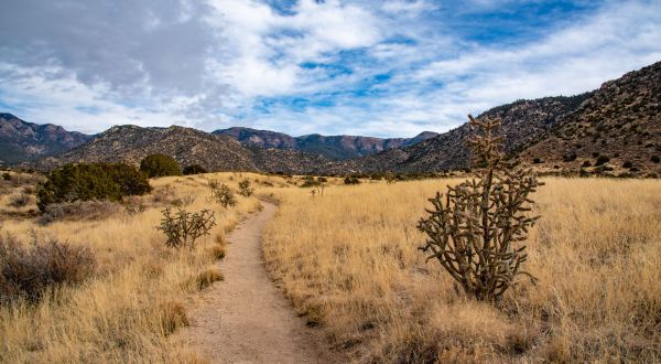 This Easy Hike In The Foothills Of A New Mexico Mountain Is Perfectly Picturesque