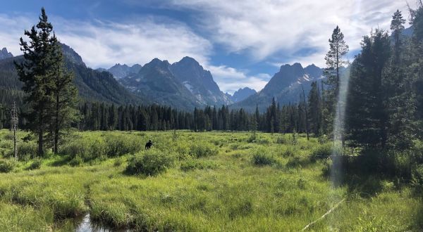 Fishhook Creek Trail, A 4-Mile Hike In Idaho, Takes You Through A Beautiful Meadow