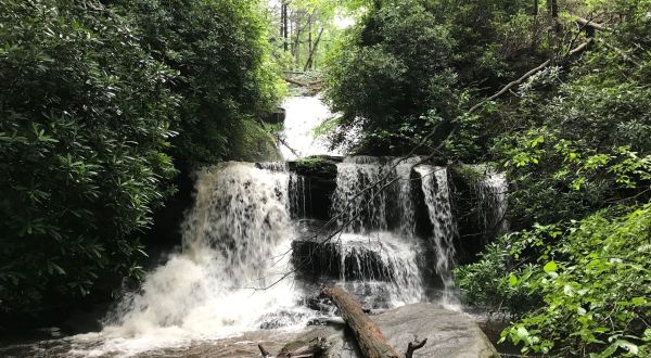 The Beginner-Friendly Waterfall Trail In Georgia That Is Perfect For A Family Hike