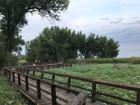 Niedrach Nature Trail and Gazebo Boardwalk In Colorado Leads To Incredibly Scenic Views