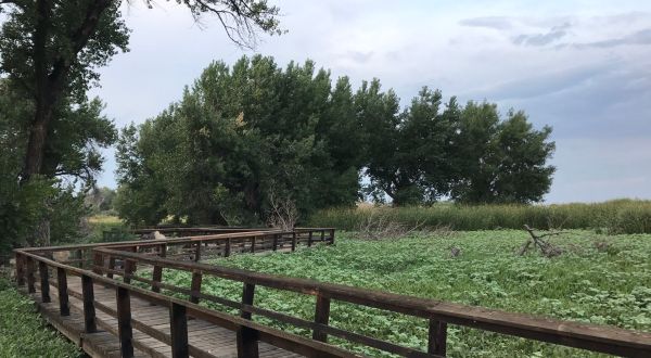 Niedrach Nature Trail and Gazebo Boardwalk In Colorado Leads To Incredibly Scenic Views