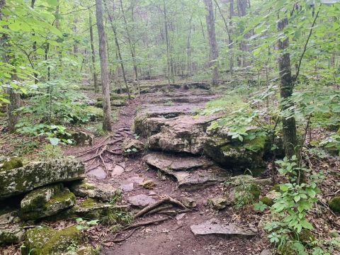 Volunteer Trail, A 10-Mile Hike In Nashville, Takes You Through A Beautiful Forest