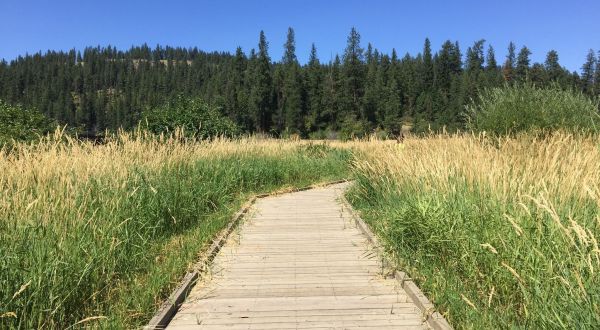 The Boardwalk Hike In Idaho That Leads To Incredibly Scenic Views
