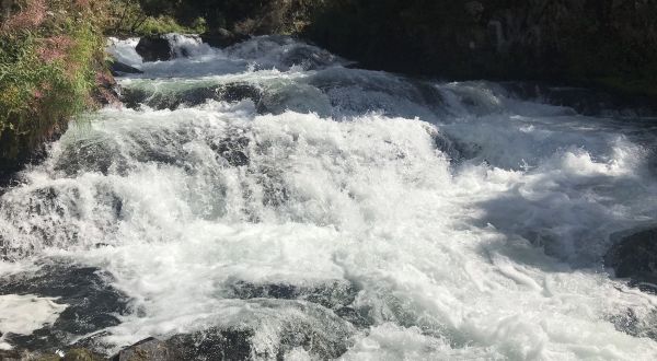 Watch The Salmon Jumping Up The Waterfalls On This Beautiful Hike In Alaska