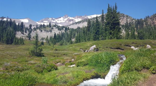 Panther Meadow Trail, A 1.5 Mile Hike In Northern California, Takes You Through A Beautiful Meadow