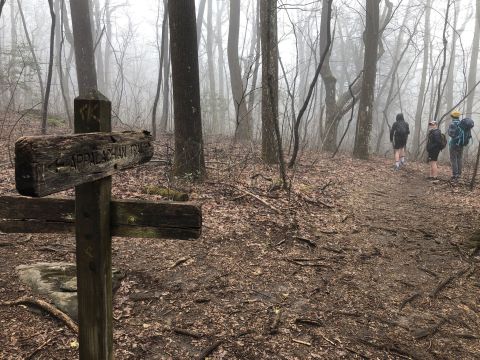 The Hike In Georgia That Will Lead You Straight To A Historic Graveyard