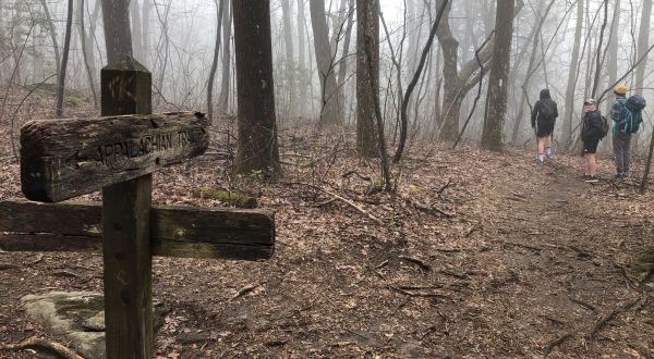 The Hike In Georgia That Will Lead You Straight To A Historic Graveyard