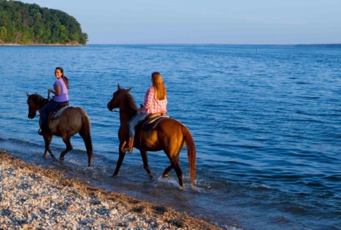 Ride Horses In Land Between The Lakes In Kentucky For a Memorable Experience