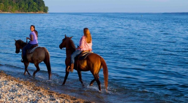 Ride Horses In Land Between The Lakes In Kentucky For a Memorable Experience