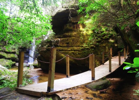 Alabama's Dismals Canyon Is A Beautifully Brilliant Green