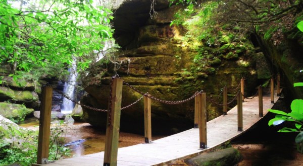 Alabama’s Dismals Canyon Is A Beautifully Brilliant Green