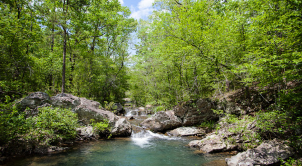 Arkansas’ Gulpha Gorge Is A Beautifully Brilliant Green