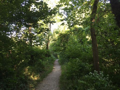 Little Turtle Trail Is An Easy Hike In Cincinnati That's Less Than 2 Miles And Takes You To A Beautiful River