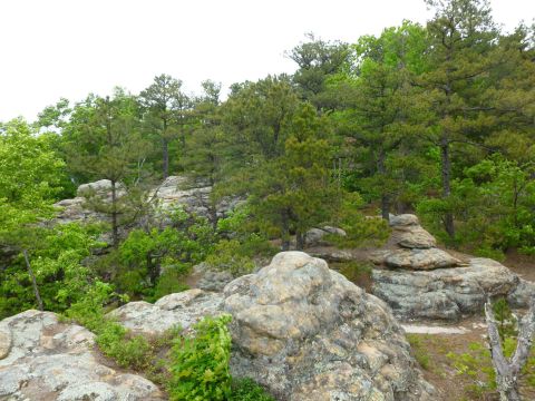 Ricketts Mountain Bluffs Trail In Arkansas Is Fun For The Whole Family