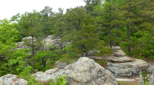 Ricketts Mountain Bluffs Trail In Arkansas Is Fun For The Whole Family