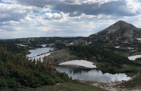 This Gorgeous Hike Through A Picturesque Wyoming Forest Will Absolutely Enchant You