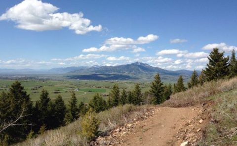 Triple Tree Trail In Montana Is Beautiful, Scenic, And Great For Beginners