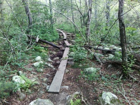 This 2-Mile Hike In Connecticut Takes You Through An Enchanting Forest