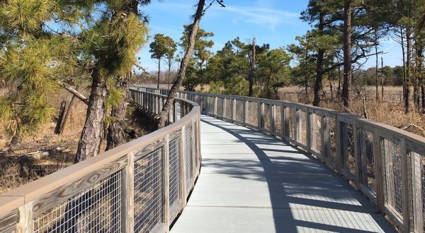 The Gordon’s Pond Trail Boardwalk Hike In Delaware  Leads To Incredibly Scenic Views