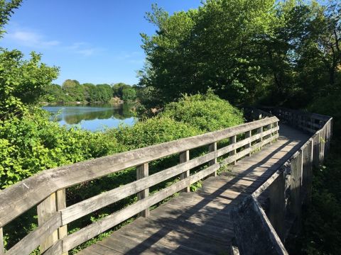 Take A Scenic Walk Along The Poquonnock River Walkway For A Beautiful Connecticut Outdoor Experience