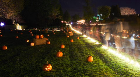 This Glowing Jack-O-Lantern Garden In Maryland Belongs On Your Autumn Bucket List