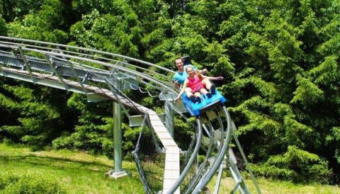 Try A Mountain Coaster, Zip Lining, Euro Bungee And More All At This One Pennsylvania Adventure Park