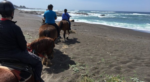 Go Horseback Riding On The Beach In Northern California For A Dreamy Adventure