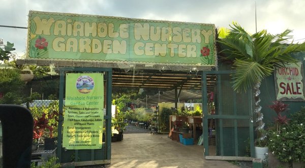 The Waiahole Nursery And Garden Center In Hawaii Is A Unique Place To Visit
