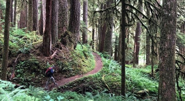 Sol Duc Falls Nature Trail Is A Beginner-Friendly Waterfall Trail In Washington That’s Great For A Family Hike