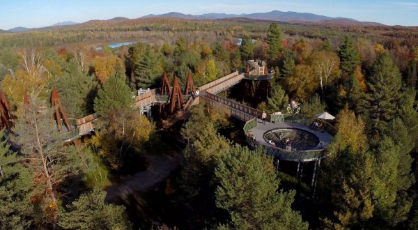 The Wild Walk In New York That Takes You High Above The Treetops