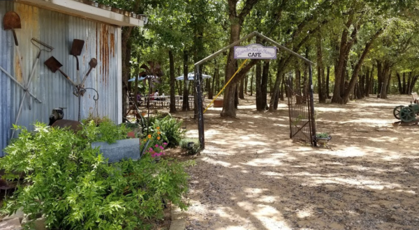 There’s A Charming Cafe Hiding In The Middle Of This Texas Lavender Farm