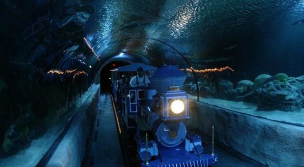 Ride Through An Enchanting Aquarium On This Underwater Train In Texas