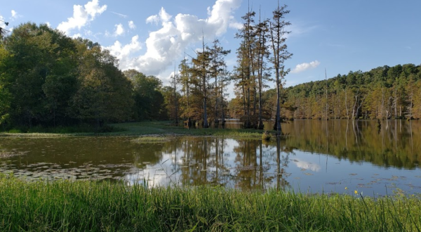 Nature Lovers Will Appreciate The William Kirsch Preserve In Arkansas