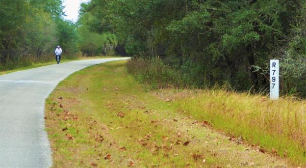 Withlachoochee State Trail Is Perfect For Florida Nature Lovers