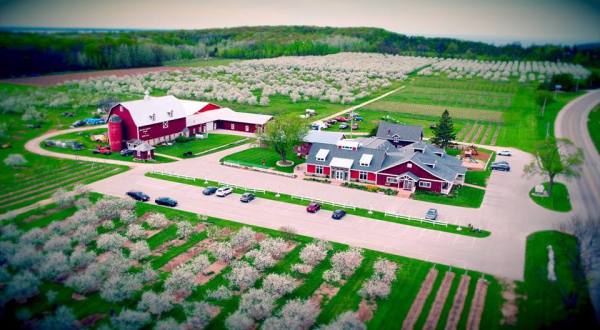 Enjoy Complimentary Wine, Shopping, And More At Lautenbach’s Orchard Country, A Winery, Market, Orchard, And Vineyard In Wisconsin