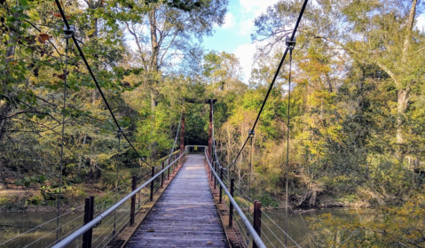 Stroll Through Four Different Ecosystems At Tickfaw State Park Near New Orleans