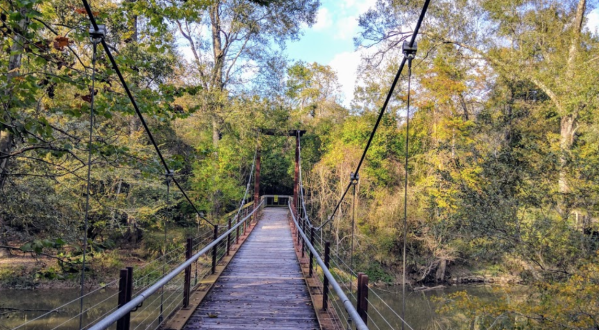 Stroll Through Four Different Ecosystems At Tickfaw State Park Near New Orleans