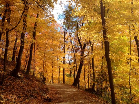 Surround Yourself With Fall Foliage On Frick Park Loop Trail, An Easy 4.9-Mile Hike In Pittsburgh
