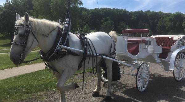 Take A Carriage Ride Through Pittsburgh With Mike’s Carriage Service