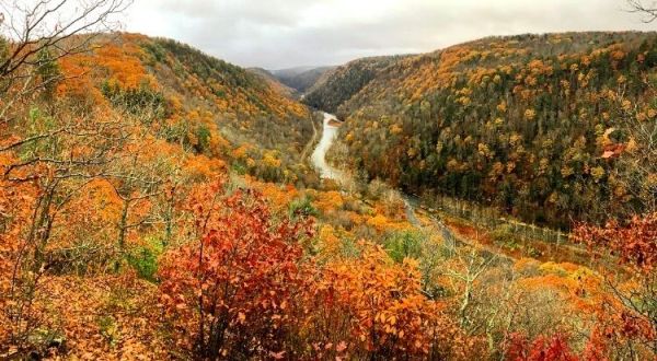 Visit The Grand Canyon Of PA, Pine Creek Gorge, For The Most Beautiful Leaf Peeping