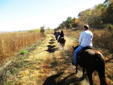 Take A Trail Ride On Horseback Through Jester Park In Iowa This Fall