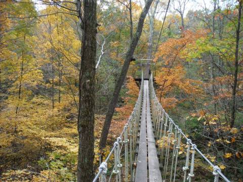 Take A Canopy Tour At Tree Frog Canopy Tours In Ohio To See The Fall Colors Like Never Before