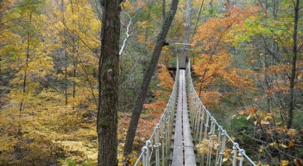 Take A Canopy Tour At Tree Frog Canopy Tours In Ohio To See The Fall Colors Like Never Before