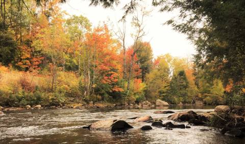 Take In Breathtaking Autumn Views While On A Northern Forest Fall Foliage Canoe Trip In Vermont