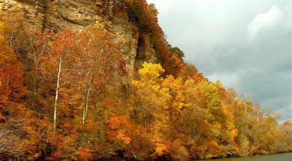 Take A Fall Colors Cruise Near Nashville With Blue Heron Cruises For A Beautiful And Scenic Adventure
