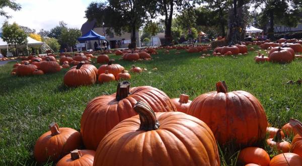 Enjoy A Haybale Maze, Pumpkins, And More At This Year’s Fall Into Fargo Event